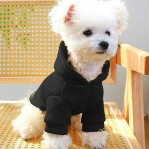 Sudaderas para Mascotas